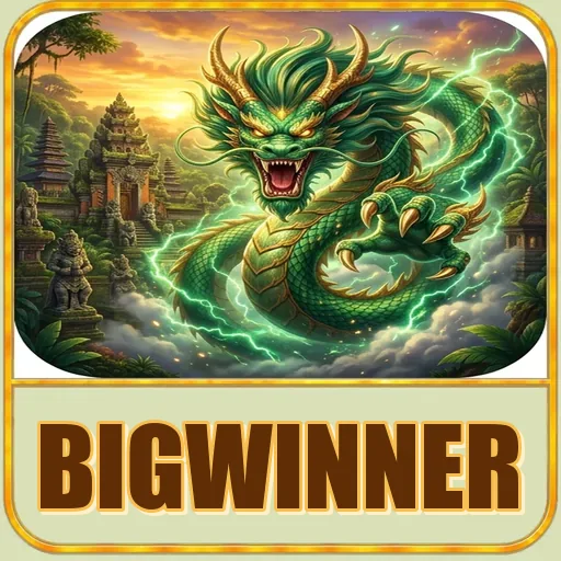 Troubleshooting bigwinner